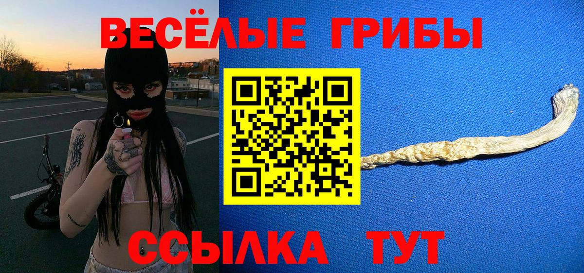 Усть-Илимск  Галлюциногенные грибы MAGIC MUSHROOMS  Вход с VPN 