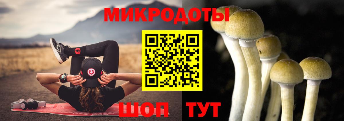 Галлюциногенные грибы Cubensis Усть-Илимск